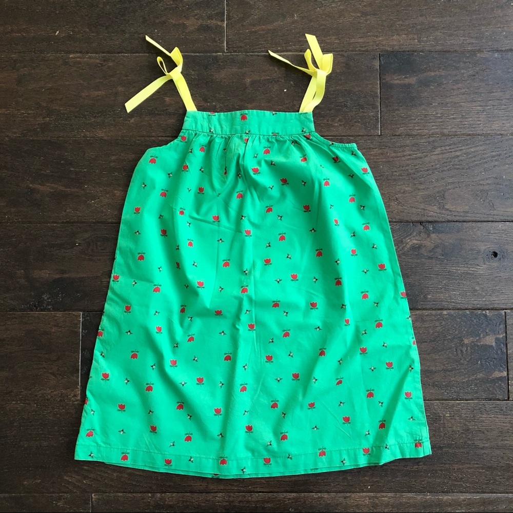 Hanna Andersson size 110 bees & flower green dress